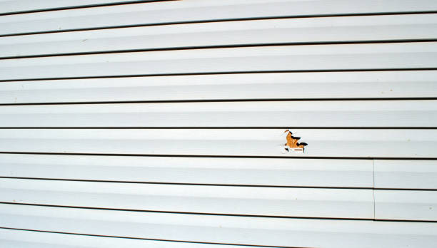 Best Shed Removal  in Frankl, IN