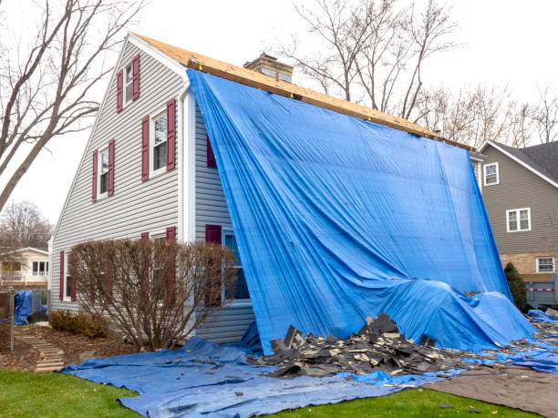 Best Same-Day Junk Removal Services  in Frankl, IN