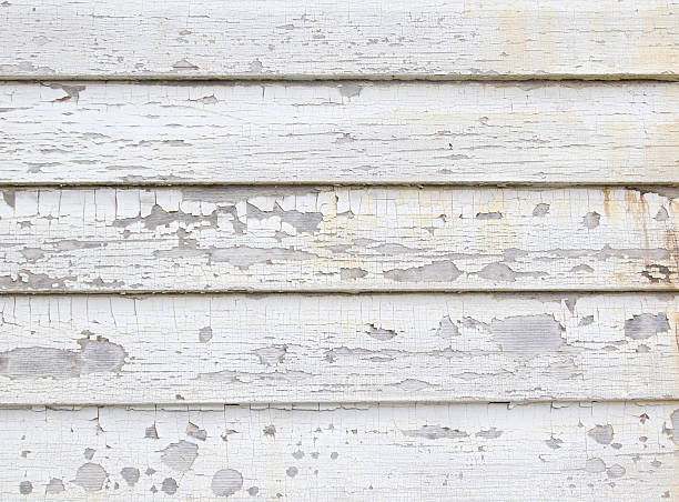 Best Hoarding Cleanup  in Frankl, IN